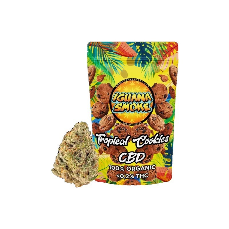 TROPICAL COOKIES 3gr IGUANA SMOKE CBD TROPICAL COOKIES 3gr IGUANA SMOKE CBD
